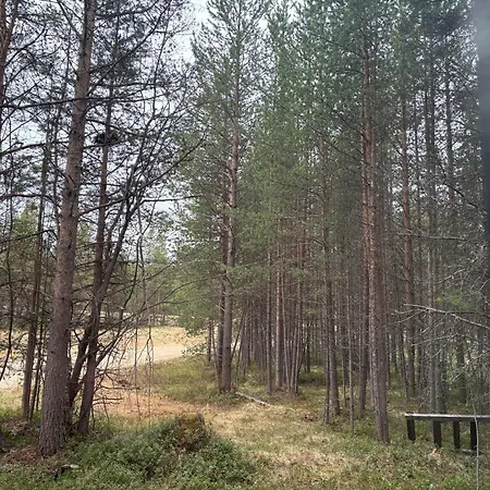 Forest * Inari